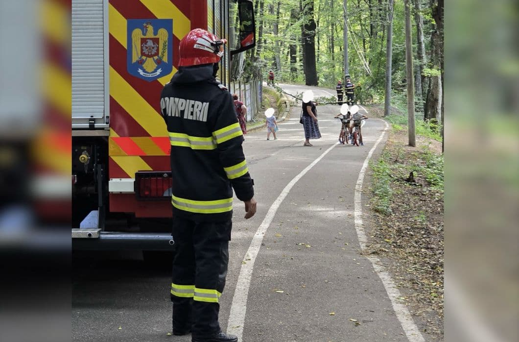 Intervenție de urgență a pompierilor după prăbușirea unui arbore în Parcul Trivale!
